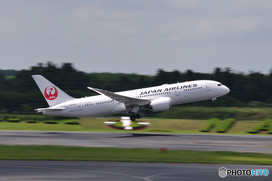 Japan Airlines