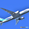 All Nippon Airways