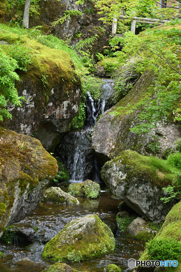 苔庭入口の小渓谷