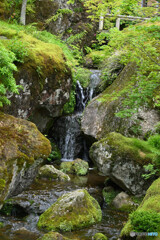 苔庭入口の小渓谷