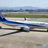 All Nippon Airways