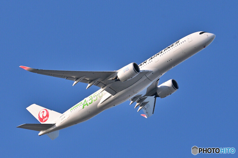 Japan Airlines