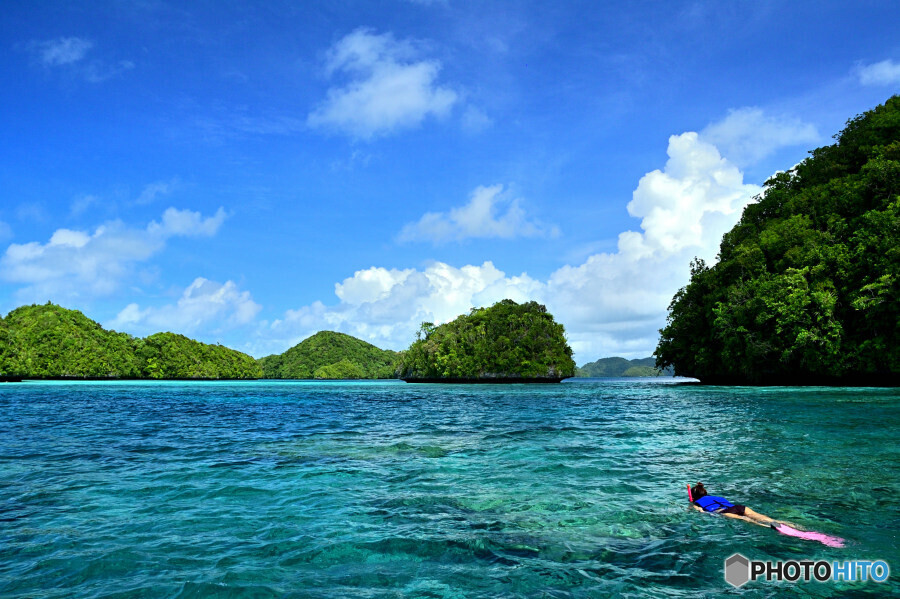 パラオの海でシュノーケリング