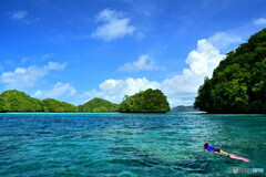 パラオの海でシュノーケリング