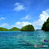 パラオの海でシュノーケリング