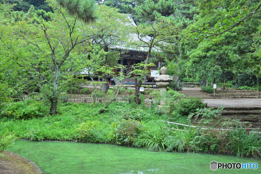 三渓園