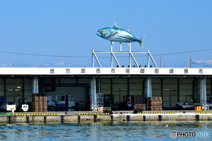 地方卸売市場 御前崎魚市場