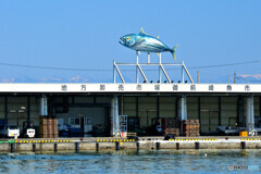 地方卸売市場 御前崎魚市場