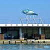 地方卸売市場 御前崎魚市場