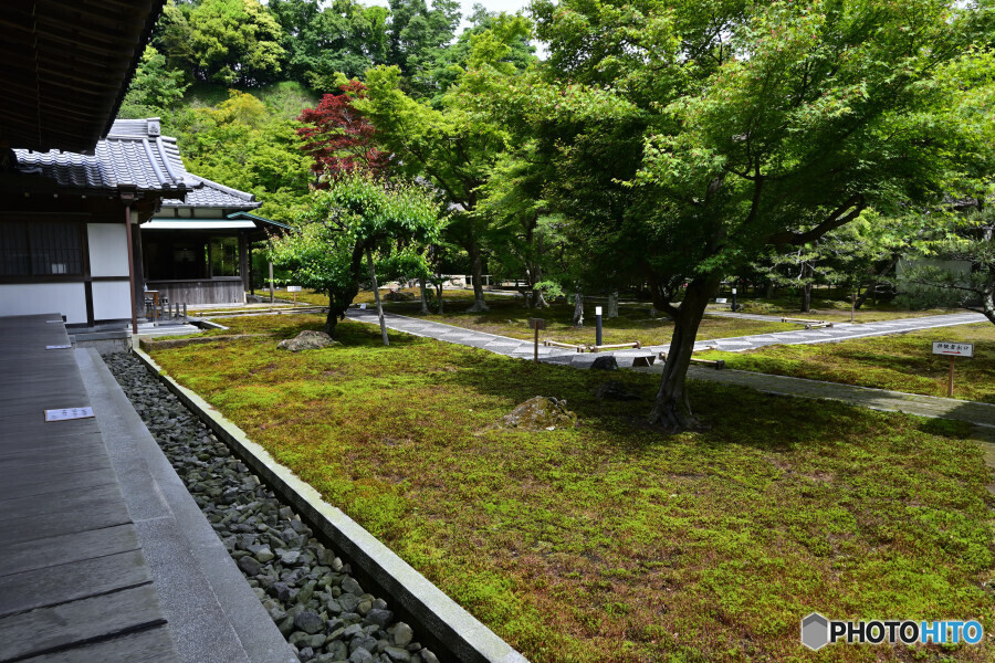 鎌倉長寿寺の苔庭