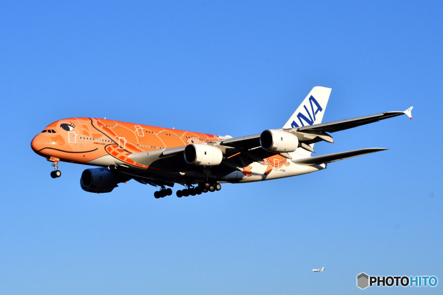 All Nippon Airways