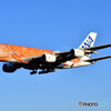 All Nippon Airways