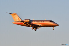 VistaJet Malta