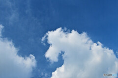 秋の空