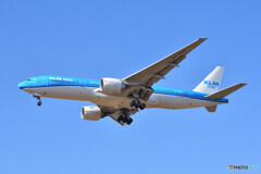 KLM Asia