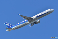 All Nippon Airways