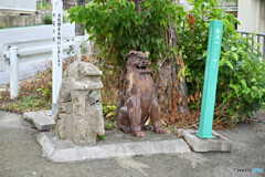 饒波のシーサー