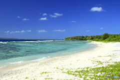 オブヤンビーチにて