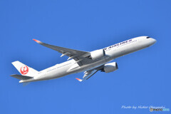 Japan Airlines