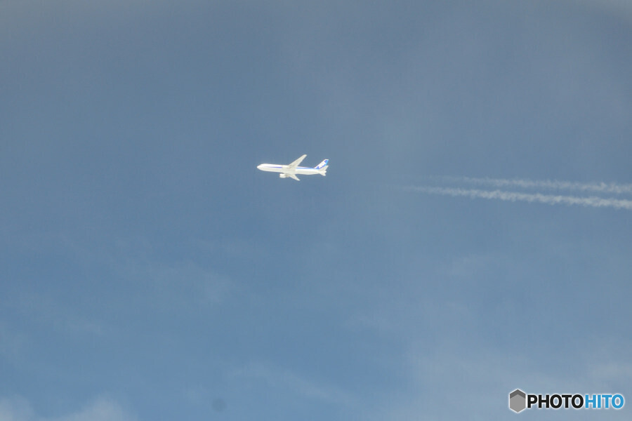 2013.03.24DSC_7806_01