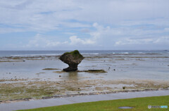 イエロービーチ 渡具知海岸