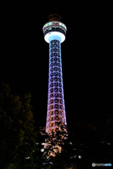 夜のマリンタワー