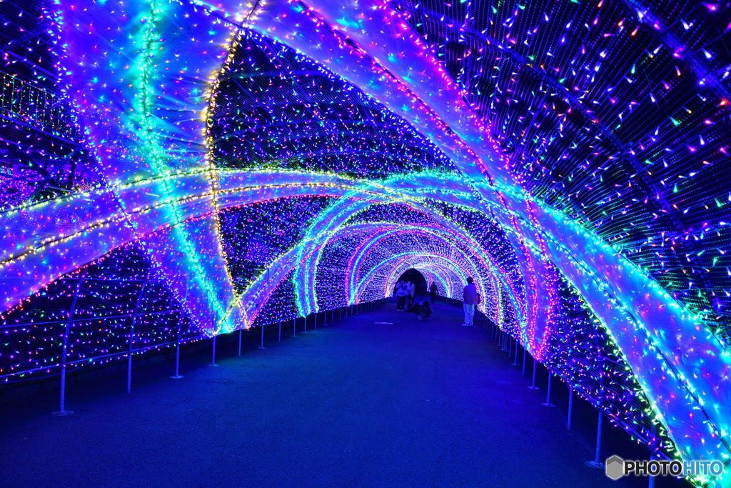 いつかの夜のよみうりランドにて-3
