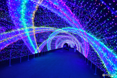 いつかの夜のよみうりランドにて-3