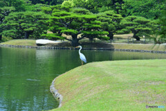 栗林公園にて