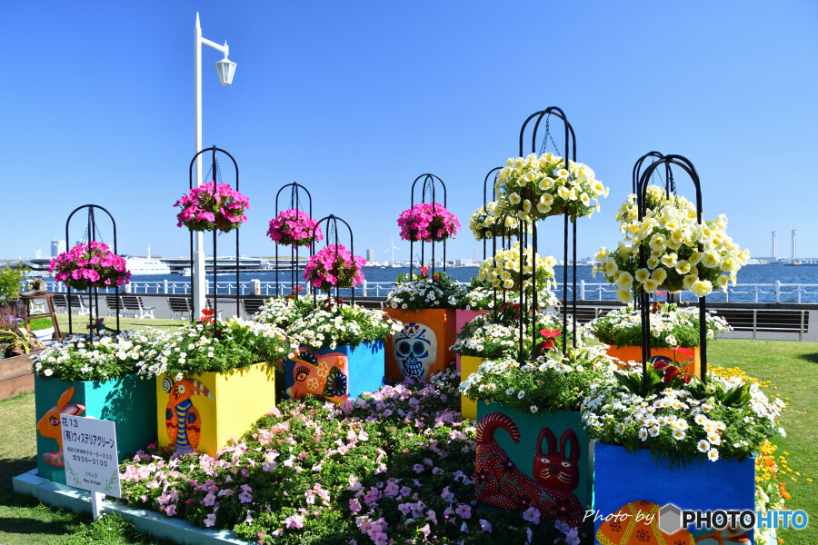 春の山下公園にて