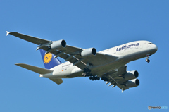 Lufthansa