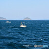 朝の瀬戸内海にて