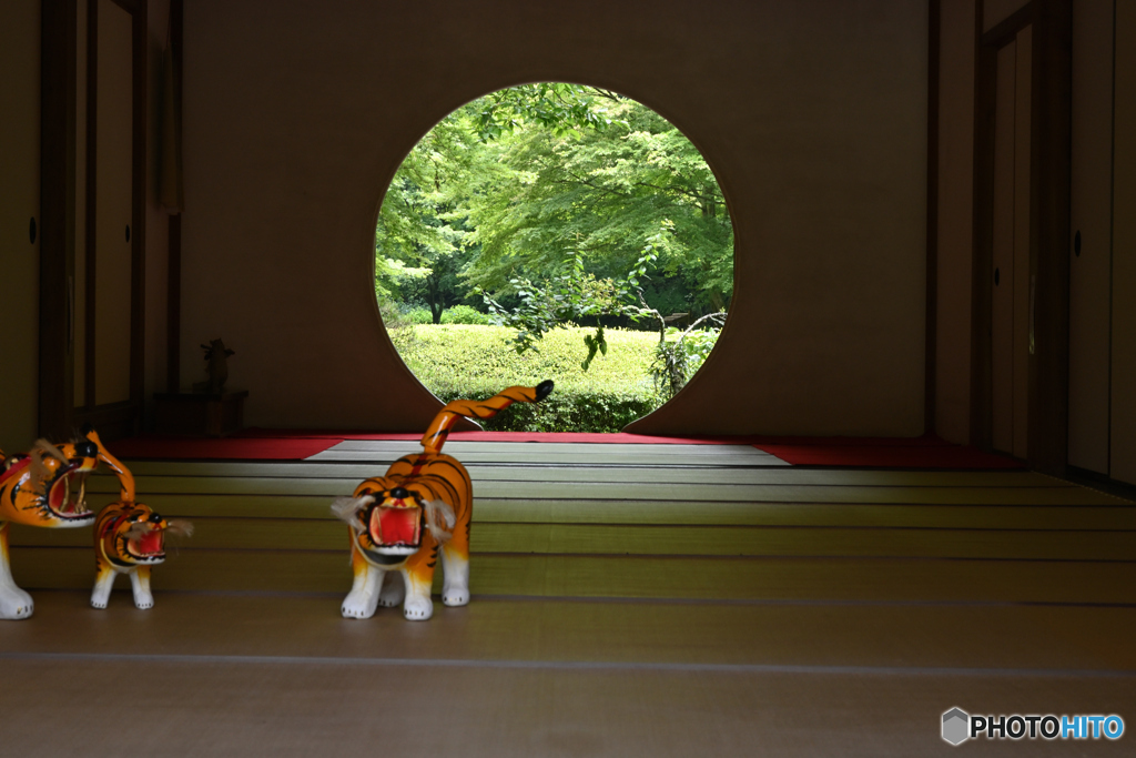 悟りの窓 明月院