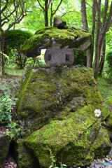 苔むす灯籠