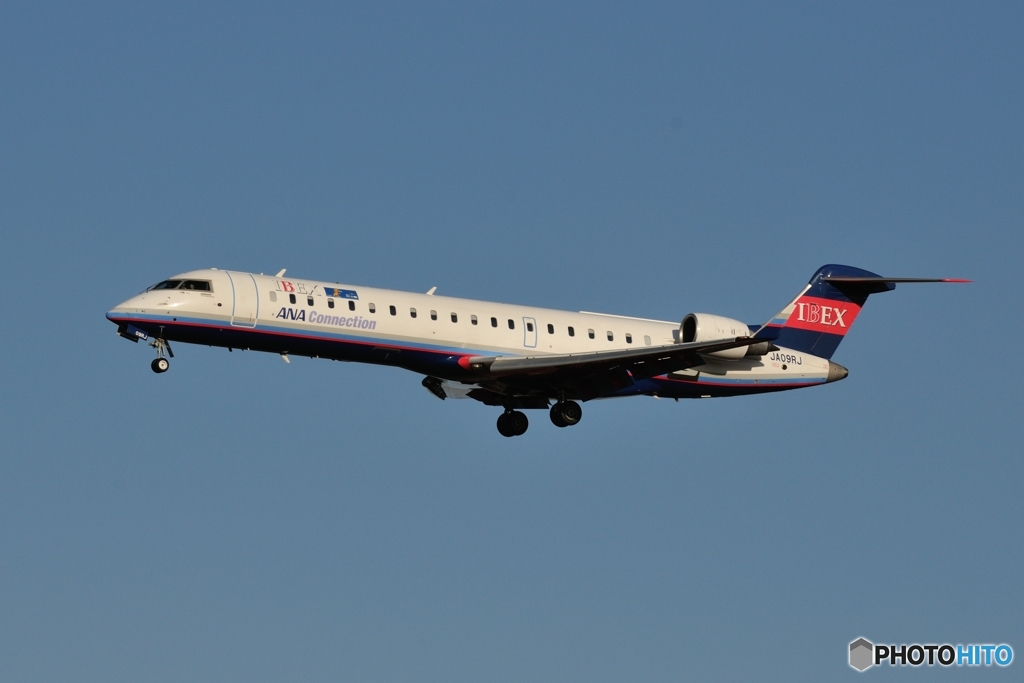 Ibex Airlines