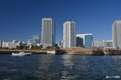 シーバスからの眺め