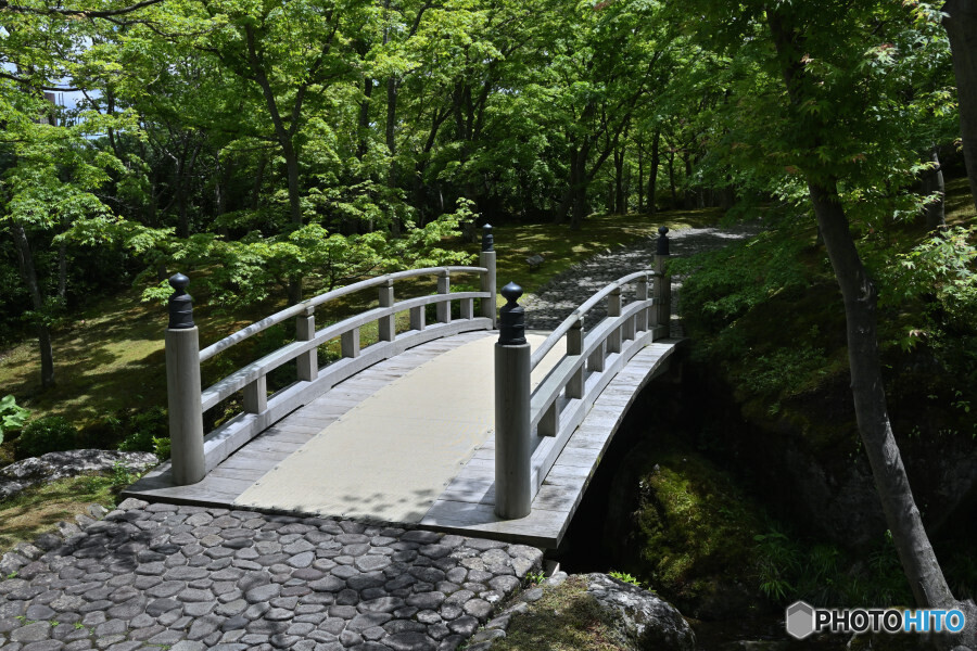 苔庭入口の木橋