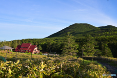 気持ち良い朝の麦草峠