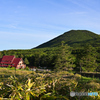 気持ち良い朝の麦草峠