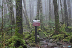 丸山の森にて