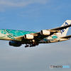 All Nippon Airways