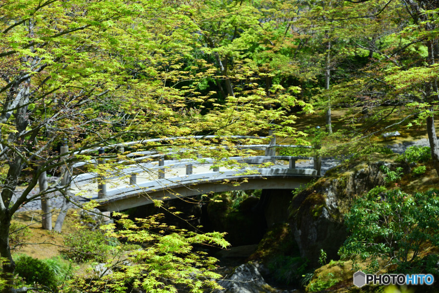 苔庭への入り口