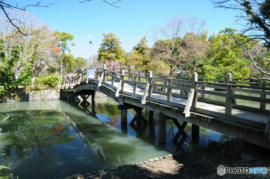 柳川川下り観光通り