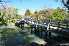 柳川川下り観光通り