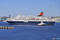 にっぽん丸横浜港へ入港-7