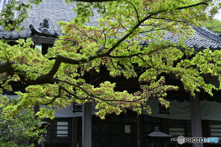 安国論寺