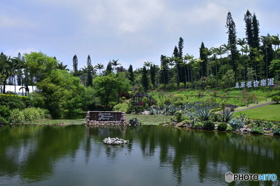 美らヤシパークオキナワ・東南植物楽園