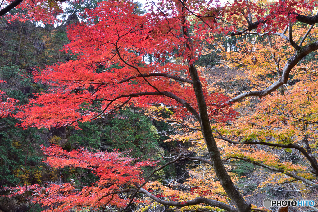 御岳昇仙峡にて