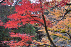 御岳昇仙峡にて