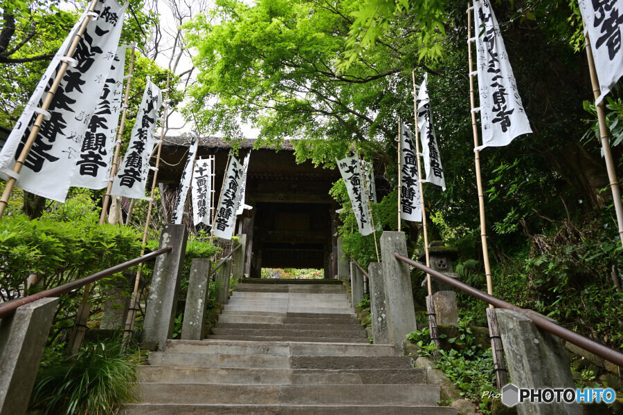 杉本寺にて